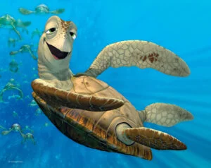 Crusch, die Meeresschildkröte aus Findet Nemo