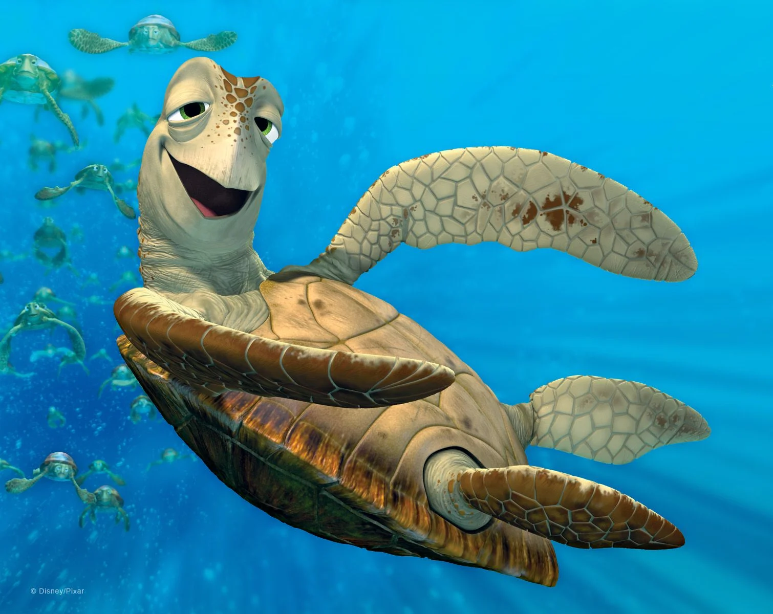 Crusch, die Meeresschildkröte aus Findet Nemo